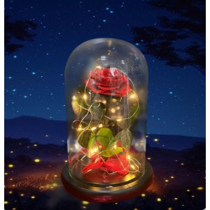 Beauty & the Beast LED Rose Dome