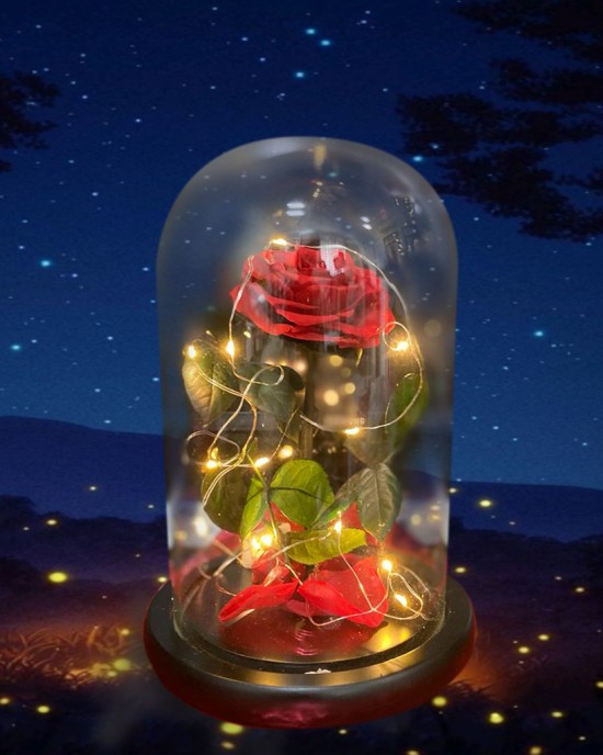 Beauty & the Beast LED Rose Dome